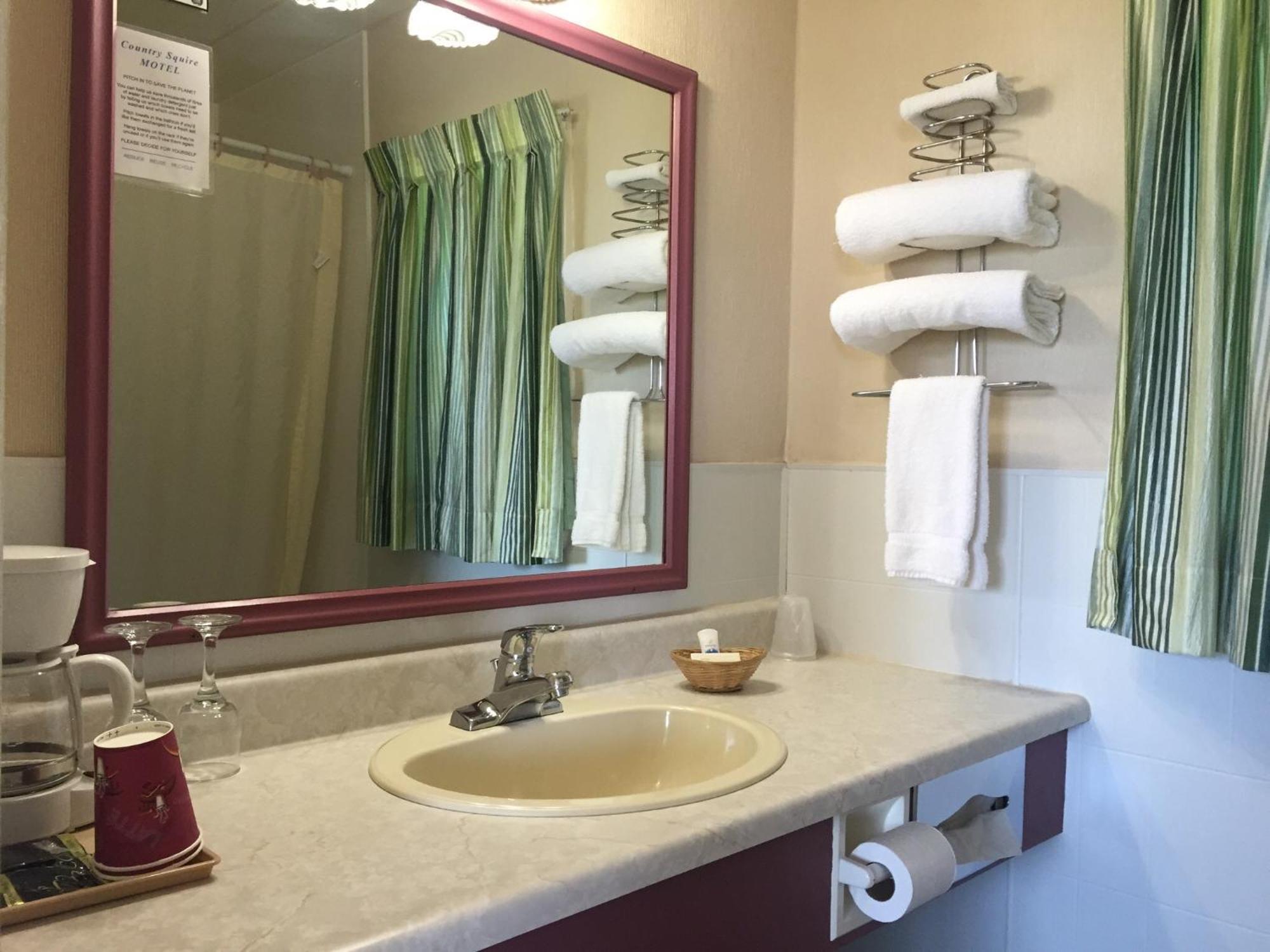Country Squire Motel Arnprior Rum bild